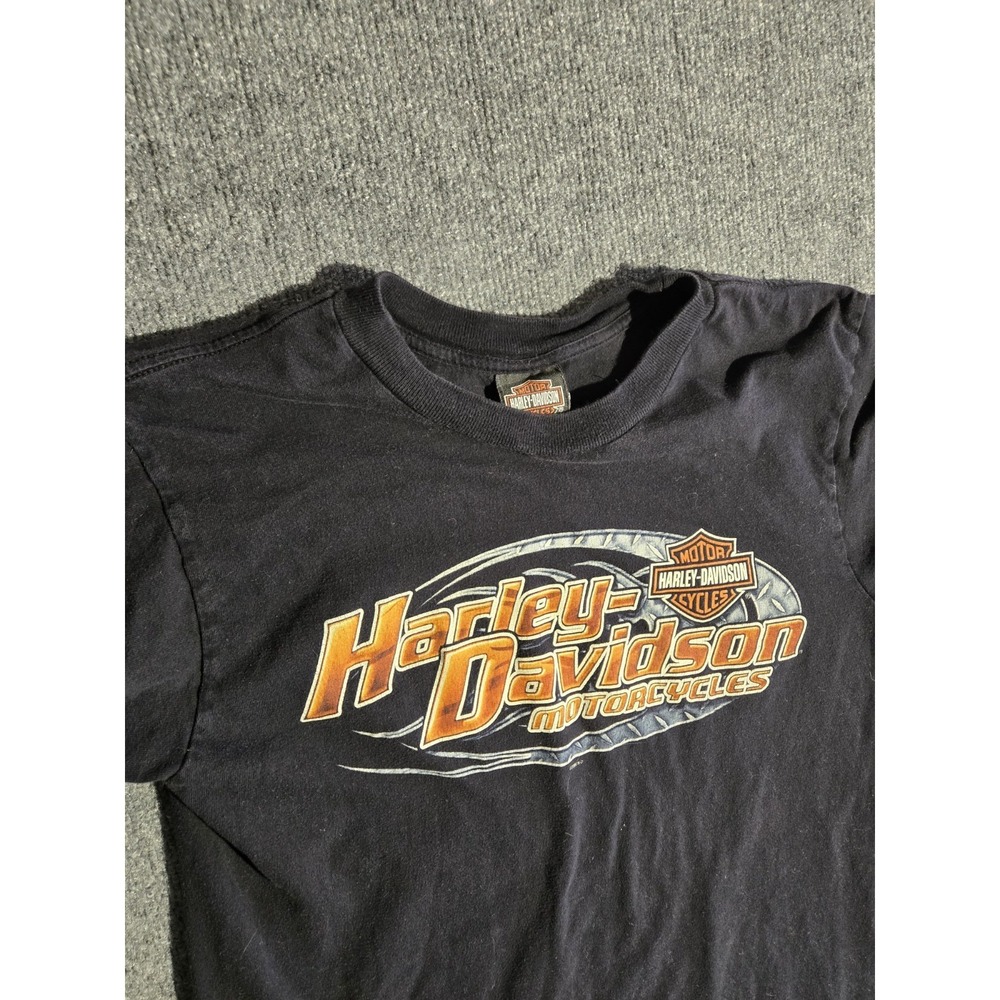 2006 Harley Davidson Glacial Lakes T-Shirt Mens Medium Made In USA Watertown SD